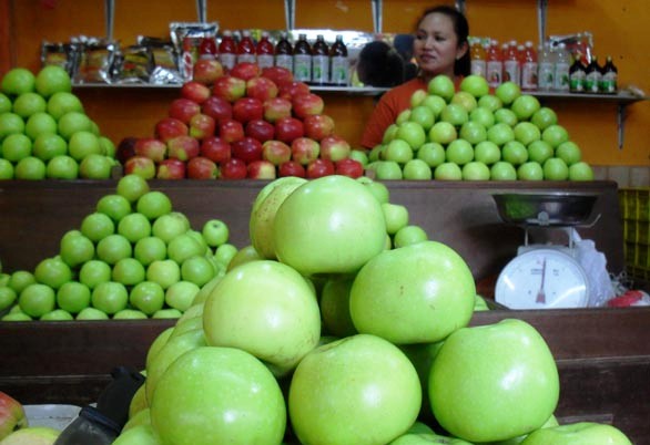 Apel Impor Ditolak Konsumen, Produk Lokal Lebih Segar dan Sehat